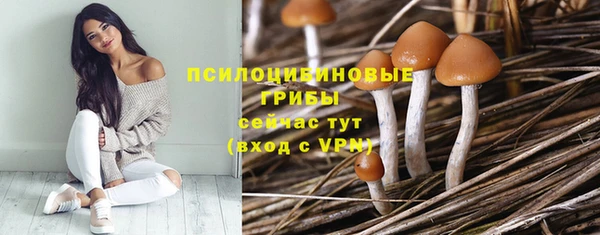 бошки Алзамай